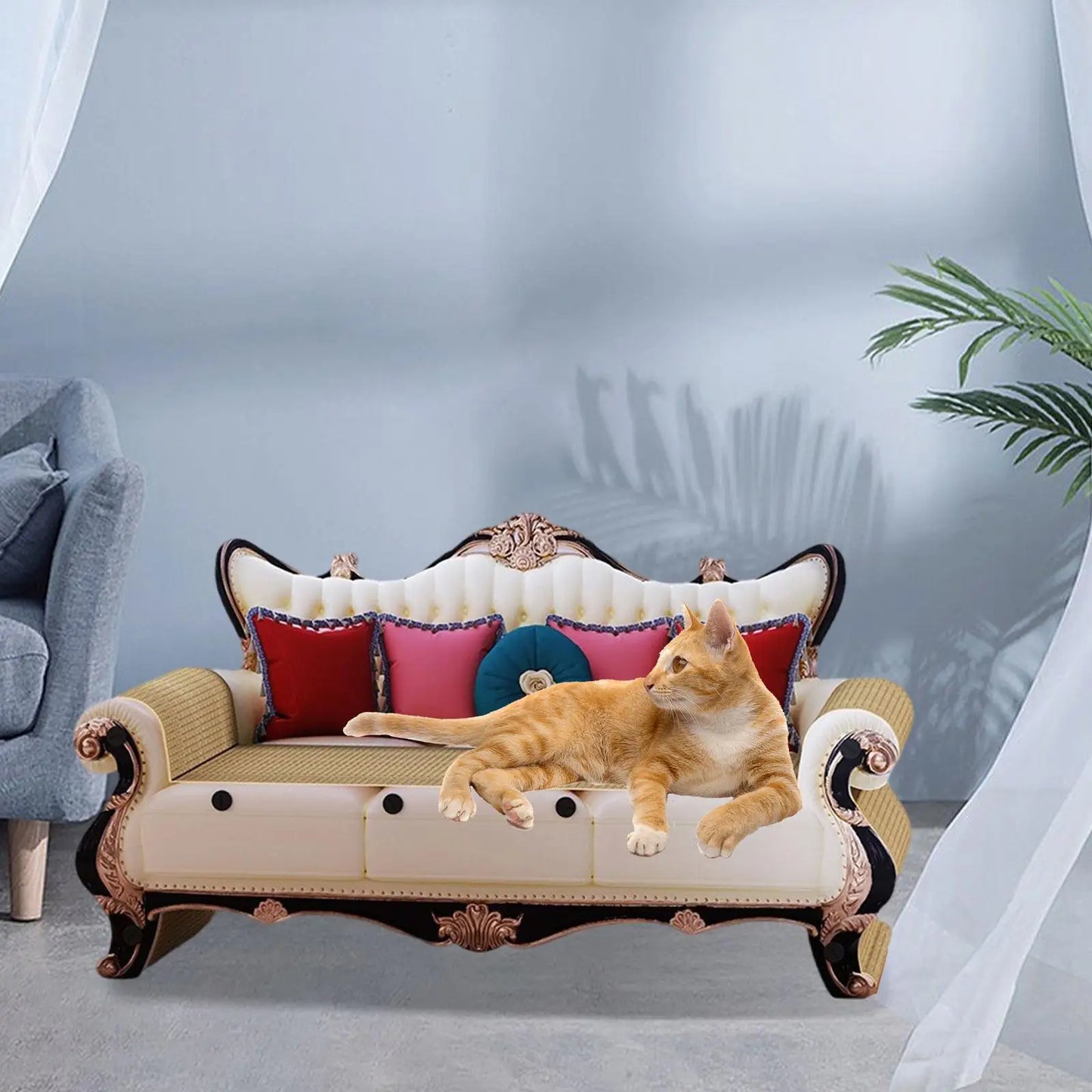 Cat Scratching Sofa