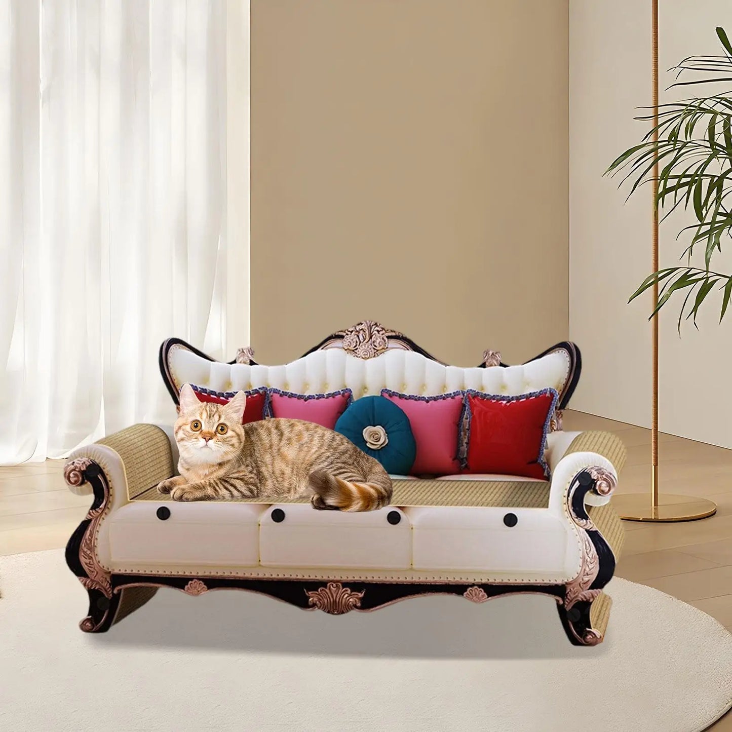 Cat Scratching Sofa