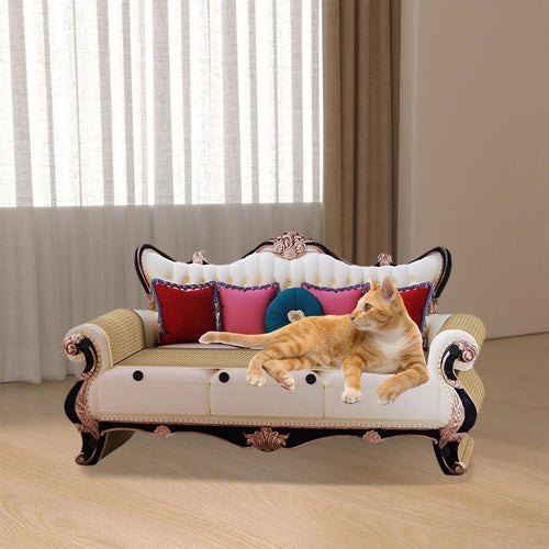 Cat Scratching Sofa