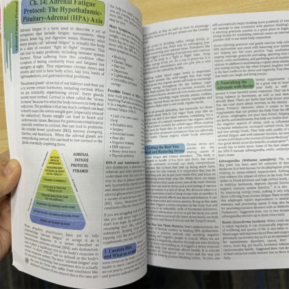 The Holistic Guide to Wellness